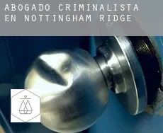 Abogado criminalista en  Nottingham Ridge