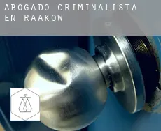 Abogado criminalista en  Raakow