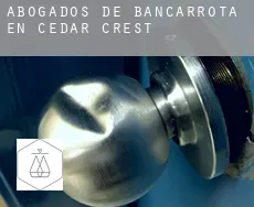 Abogados de bancarrota en  Cedar Crest