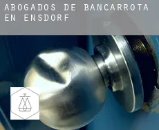 Abogados de bancarrota en  Ensdorf