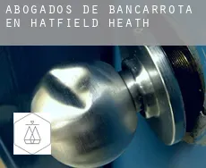 Abogados de bancarrota en  Hatfield Heath