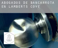 Abogados de bancarrota en  Lamberts Cove