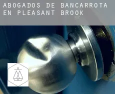 Abogados de bancarrota en Pleasant Brook