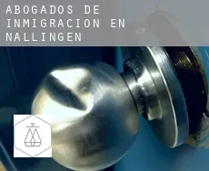 Abogados de inmigración en  Nallingen