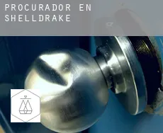 Procurador en  Shelldrake