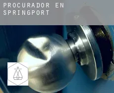 Procurador en  Springport