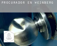 Procurador en  Weinberg