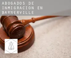 Abogados de inmigración en  Barnerville