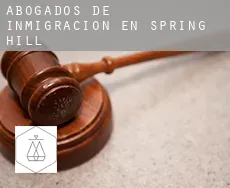 Abogados de inmigración en  Spring Hill