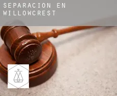 Separación en  Willowcrest
