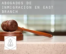 Abogados de inmigración en  East Branch