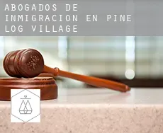 Abogados de inmigración en  Pine Log Village