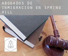 Abogados de inmigración en Spring Hill