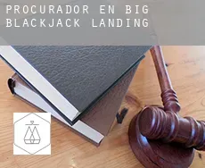 Procurador en  Big Blackjack Landing