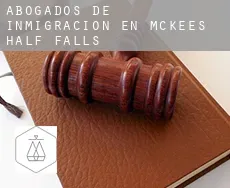 Abogados de inmigración en  McKees Half Falls