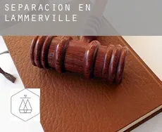 Separación en  Lammerville