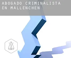 Abogado criminalista en  Mallenchen