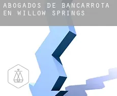 Abogados de bancarrota en  Willow Springs