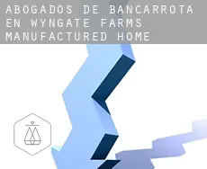 Abogados de bancarrota en Wyngate Farms Manufactured Home Community