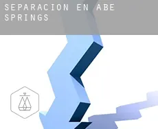 Separación en Abe Springs