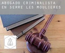 Abogado criminalista en  Serre-les-Moulières