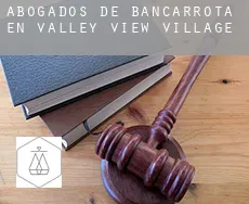 Abogados de bancarrota en  Valley View Village
