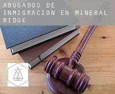 Abogados de inmigración en  Mineral Ridge