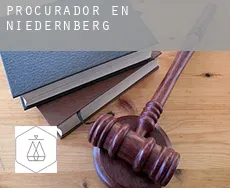 Procurador en  Niedernberg