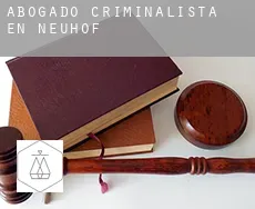 Abogado criminalista en  Neuhof