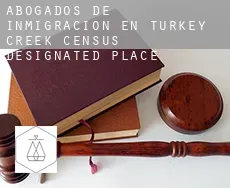Abogados de inmigración en  Turkey Creek