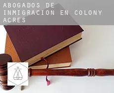 Abogados de inmigración en Colony Acres