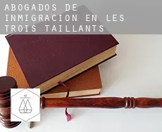 Abogados de inmigración en  Les Trois Taillants