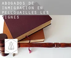 Abogados de inmigración en  Pellouailles-les-Vignes