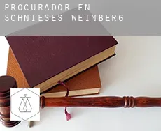 Procurador en  Schnieses Weinberg