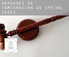 Abogados de inmigración en  Spring Creek
