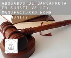 Abogados de bancarrota en  Sunset Valley Manufactured Home Community
