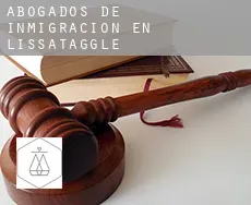 Abogados de inmigración en  Lissataggle