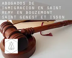 Abogados de inmigración en Saint-Remy-en-Bouzemont-Saint-Genest-et-Isson