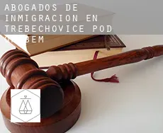 Abogados de inmigración en  Třebechovice pod Orebem