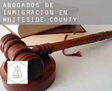 Abogados de inmigración en  Whiteside County