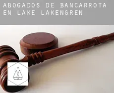 Abogados de bancarrota en  Lake Lakengren