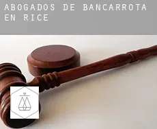 Abogados de bancarrota en  Rice