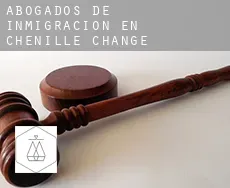 Abogados de inmigración en  Chenillé-Changé