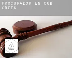 Procurador en  Cub Creek