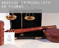 Abogado criminalista en  Plumbs