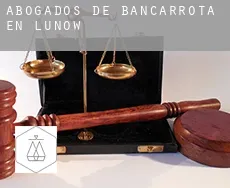 Abogados de bancarrota en  Lünow