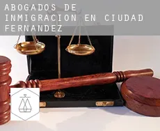 Abogados de inmigración en  Ciudad Fernández