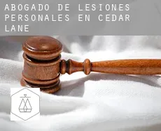 Abogado de lesiones personales en  Cedar Lane