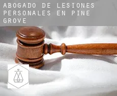 Abogado de lesiones personales en  Pine Grove