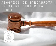 Abogados de bancarrota en  Saint-Didier-la-Forêt